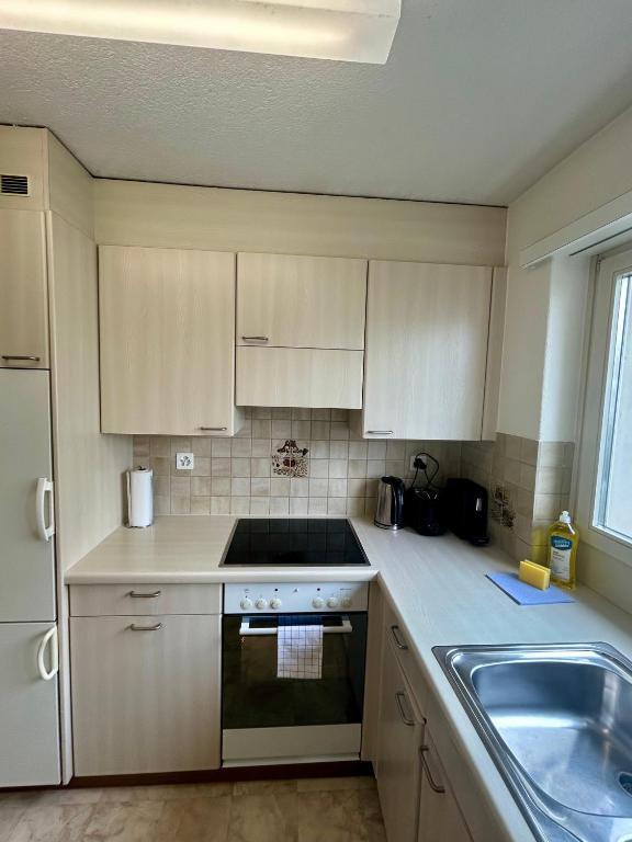 Basic 3BR Flat with Balcony in Zurich - Resim 31