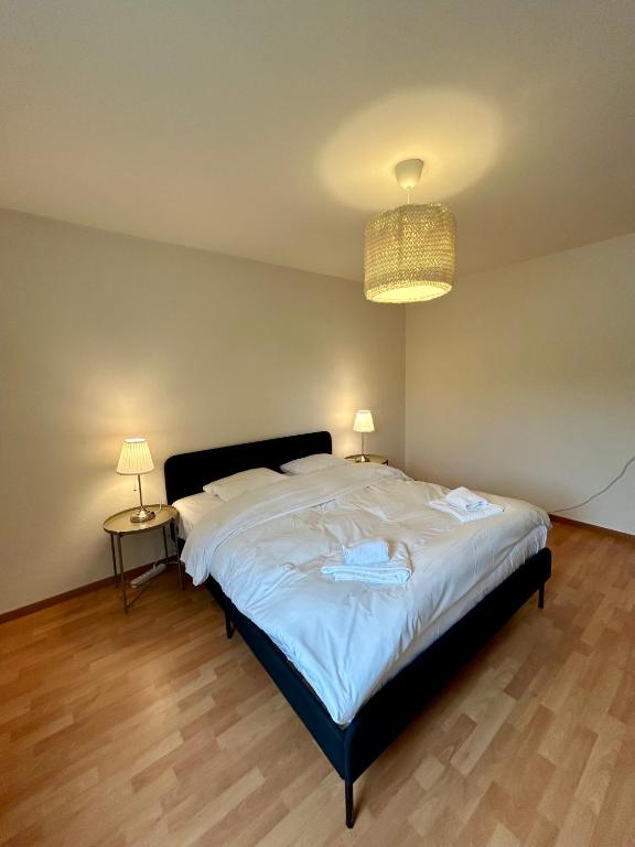 Schwandenwiesen 26, 8052 Zurich Switzerland - Resim 23