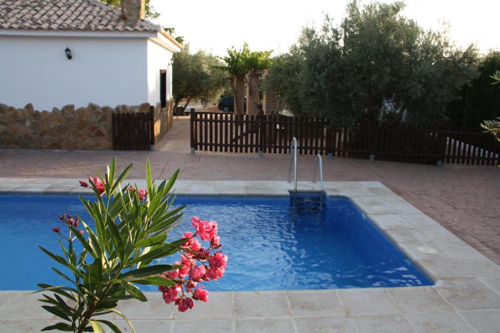 ein kleiner Pool mit einer Schaukel im Hof in der Unterkunft El Calar in Pozo Alcón
