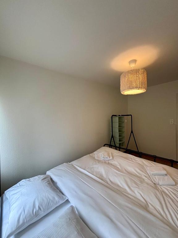 Simple and Cozy Flat in Zurich - Resim 11