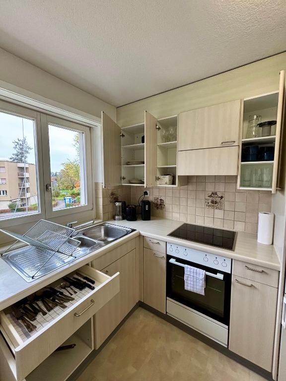 Simple and Cozy Flat in Zurich - Resim 4