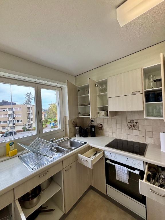 Simple and Cozy Flat in Zurich - Resim 13