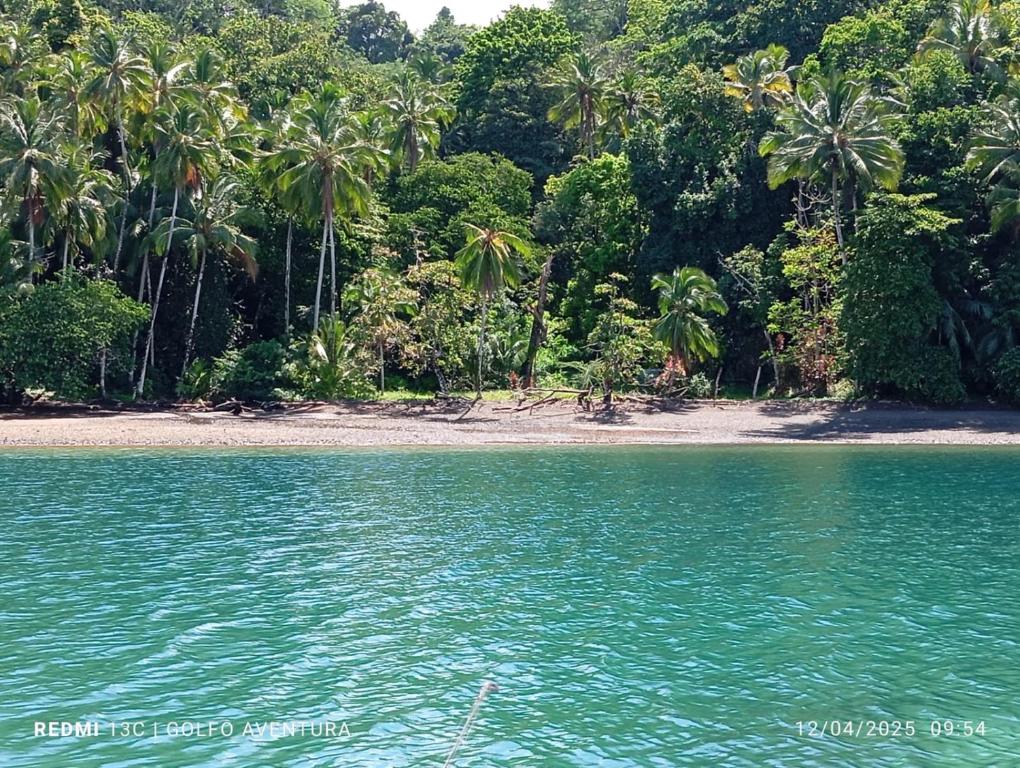 a beach with a bunch of palm trees and blue water at Cabinas Aventura in Ojo de Agua