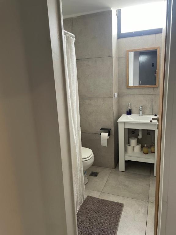 a bathroom with a toilet and a sink and a mirror at Nordico II in La Plata