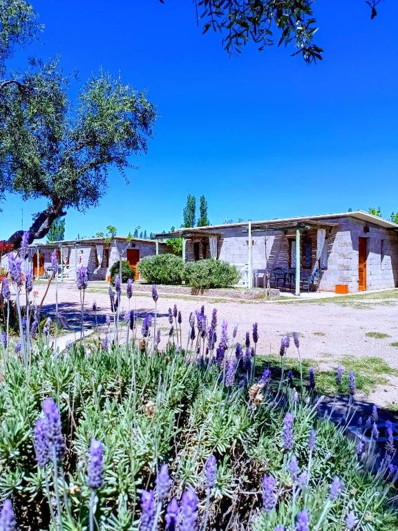 a garden with purple flowers in front of a building at Nelumbo Petit Chalet in San Rafael