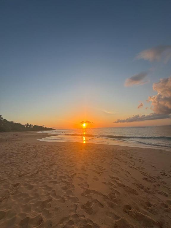 a sunset on a sandy beach with the ocean at Coco-orchidées Le Domaine Mannou in Sainte-Rose