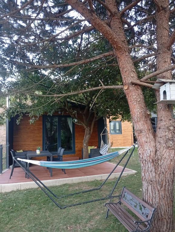 a hammock hanging from a tree in front of a house at Refúgio Da Pinheira in Marco de Canaveses