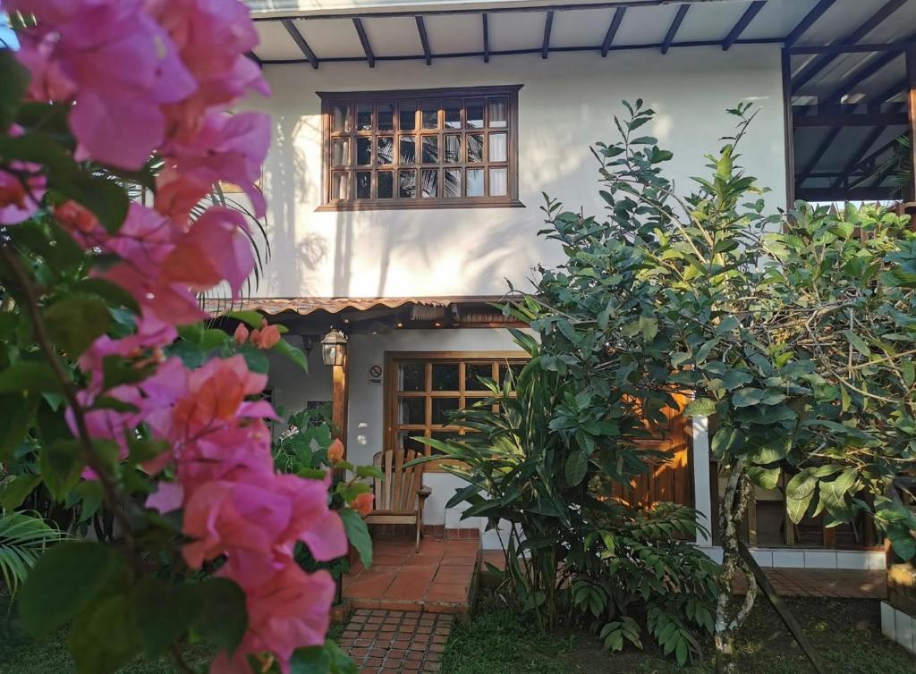 Zahrada ubytování Hotel Tropical