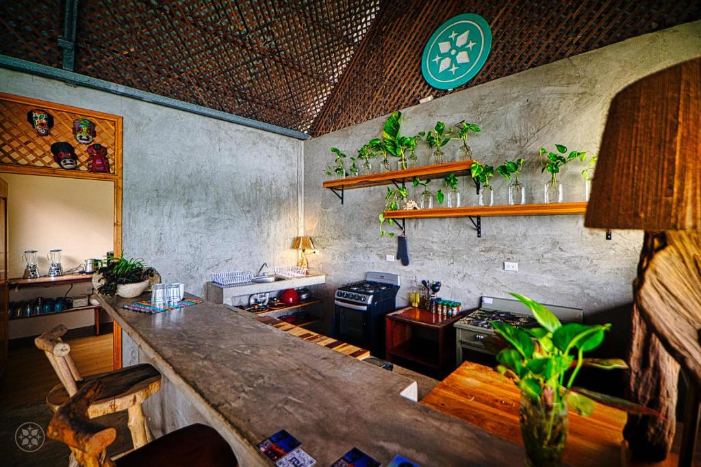 una cocina con encimera con plantas en la pared en Hostal Don Cenobio, en Flores
