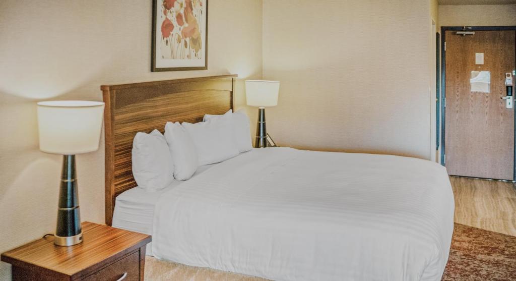 Crystal Inn Hotel & Suites - Salt Lake City photo