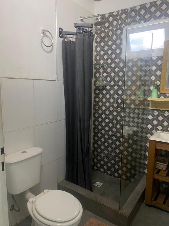 a bathroom with a shower with a toilet and a sink at Monoambiente en posadas 2 in Posadas