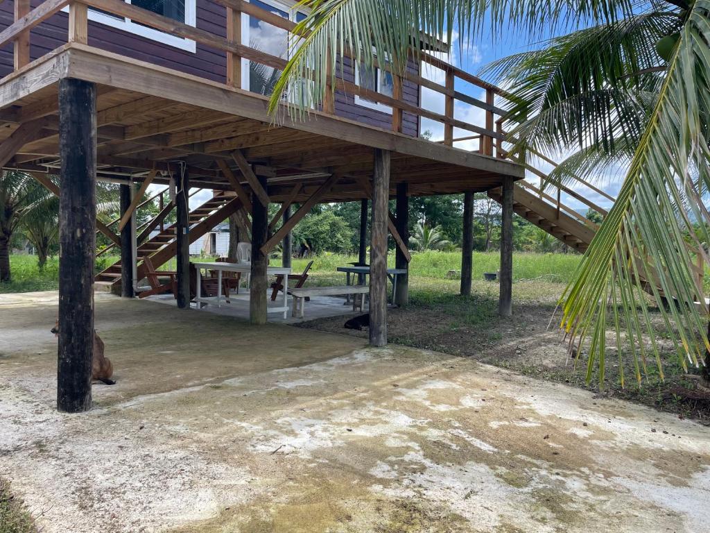 Un gran edificio de madera con una mesa de picnic debajo. en K S G Cabanas, en Dangriga