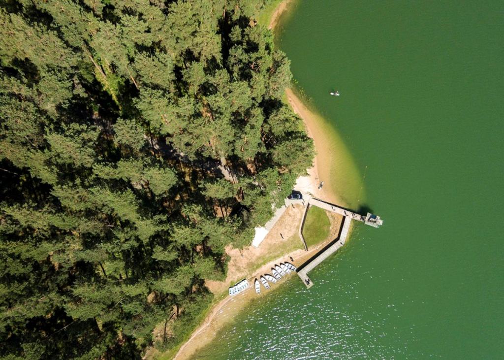 una vista aérea de una playa con árboles y agua en ORO Dubingiai, en Giraičiai 