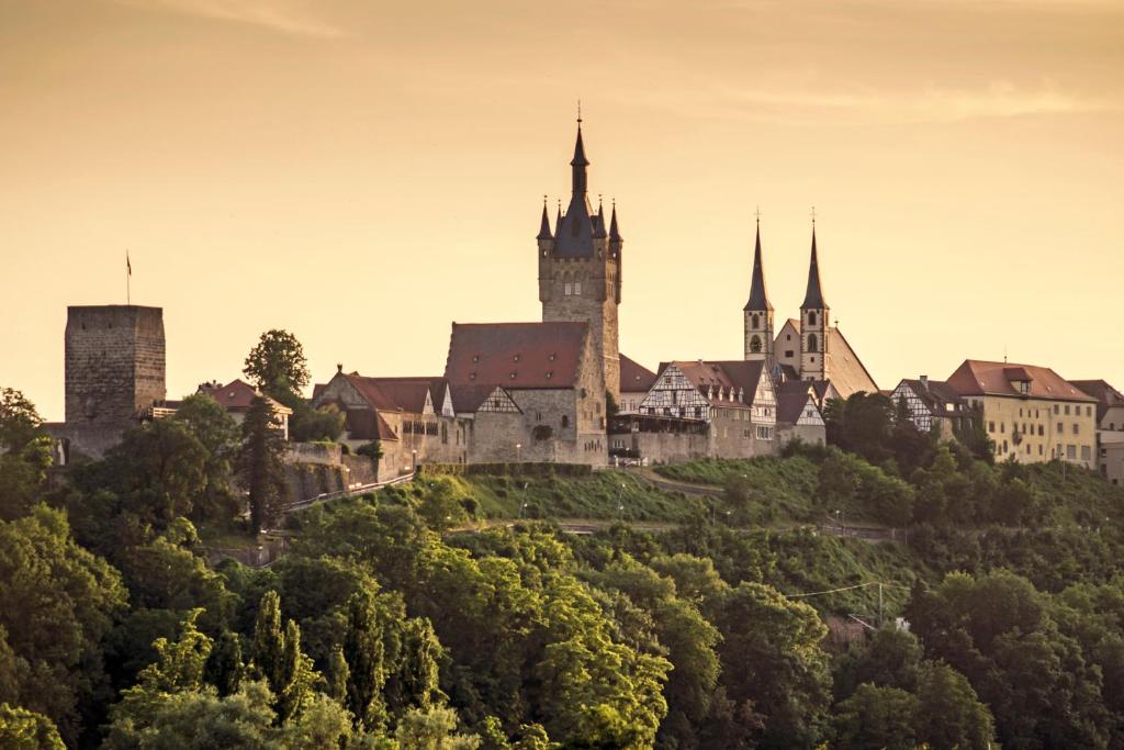 zamek na szczycie wzgórza z drzewami w obiekcie Gästehaus Fernblick w mieście Bad Wimpfen