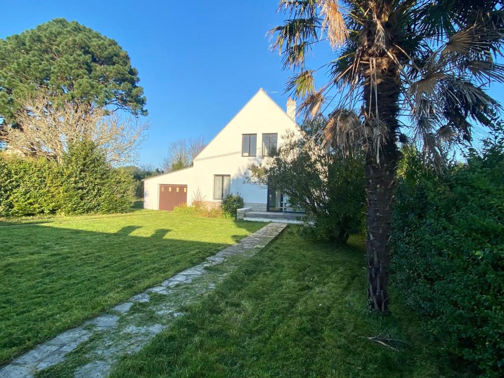 eine Palme vor einem weißen Haus in der Unterkunft Charmante maison entre Port Tudy et le Bourg à Groix - FR-1-813-34 in Groix