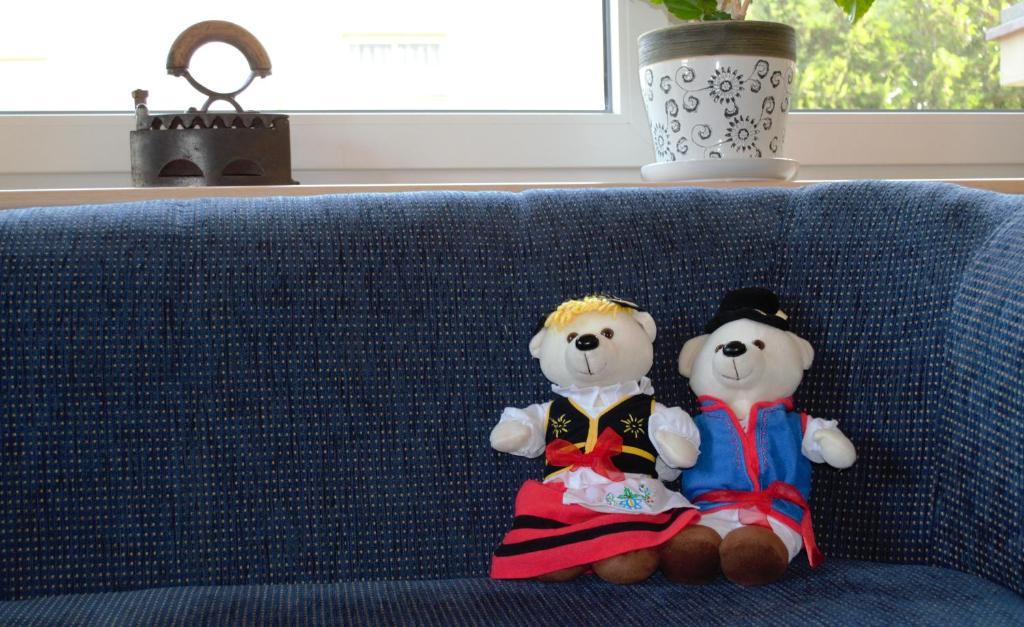 Dom Jastrzębia z basenem i jacuzzi - 5