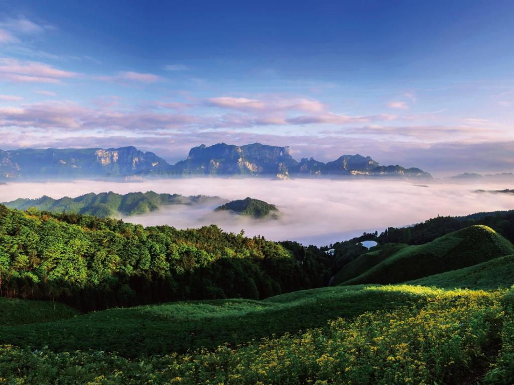 a misty valley with mountains and trees in the foreground at Backbasket Lodge -Tianmen Cableway in Zhangjiajie