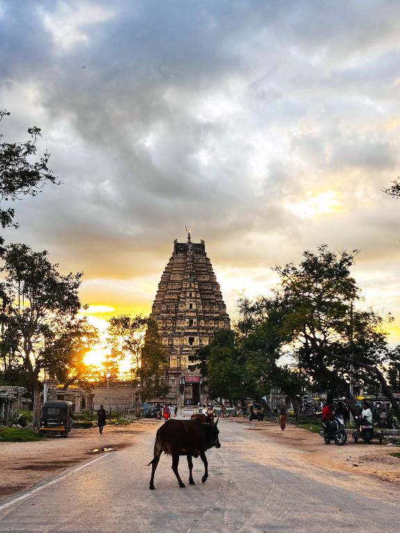 a cow walking down a road in front of a building at Reddy home stay in Hampi