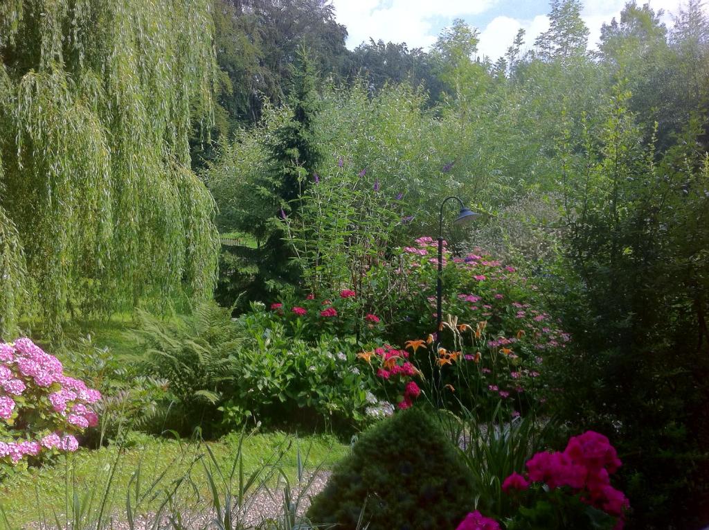 Zahrada ubytování Villa Waldeslust
