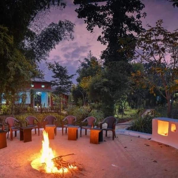 a group of chairs and a fire in a park at Tala Camp in Tāla