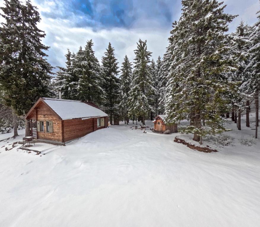 a cabin in the woods in the snow at Natura Haziko in Izvoare
