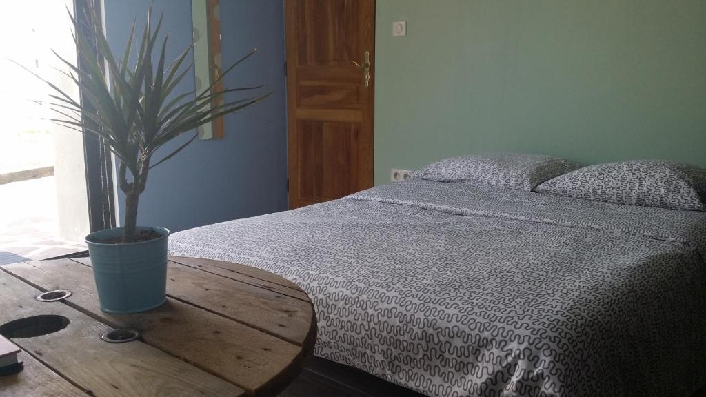 a bedroom with a bed and a table with a potted plant at La Vannerie in Béthisy-Saint-Martin