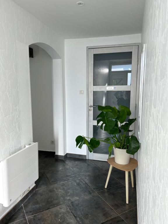 Colmar joli petit appartement – photo 10
