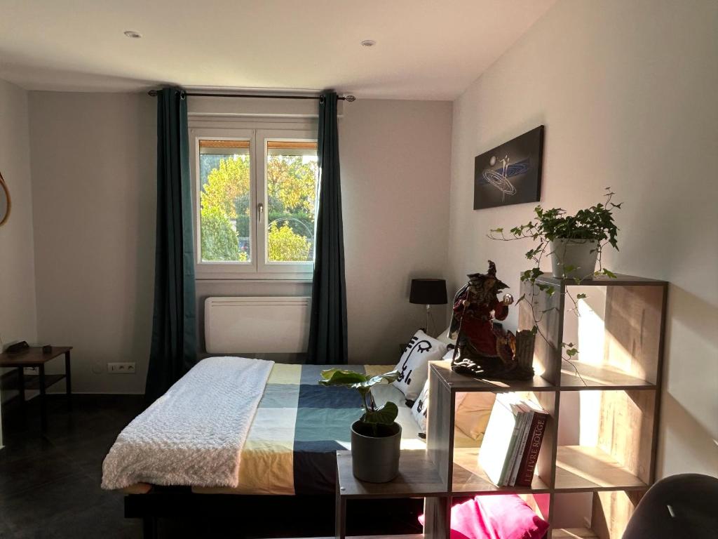 Colmar joli petit appartement – photo 2