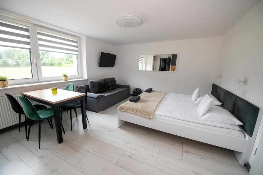 SKALNY apartamenty, pokoje - Apartment