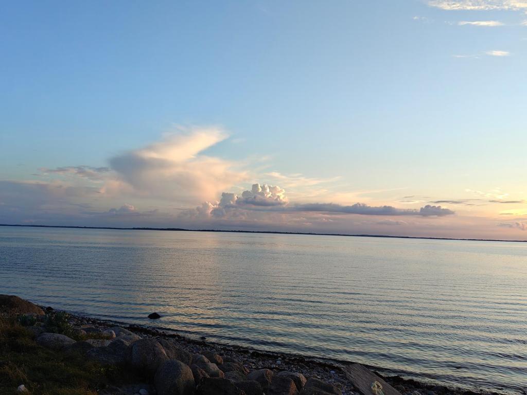 ein großer Wasserkörper mit wolkigem Himmel in der Unterkunft Cottage in scenic Langø in Martofte