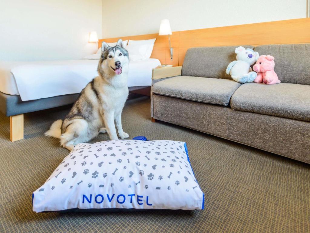 Novotel Torino Corso Giulio Cesare - Resim 23