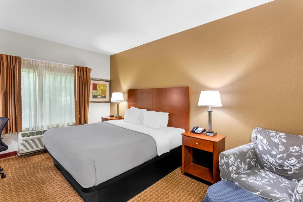 Quality Inn Near Interstate I94 - King Room - Non-Smoking