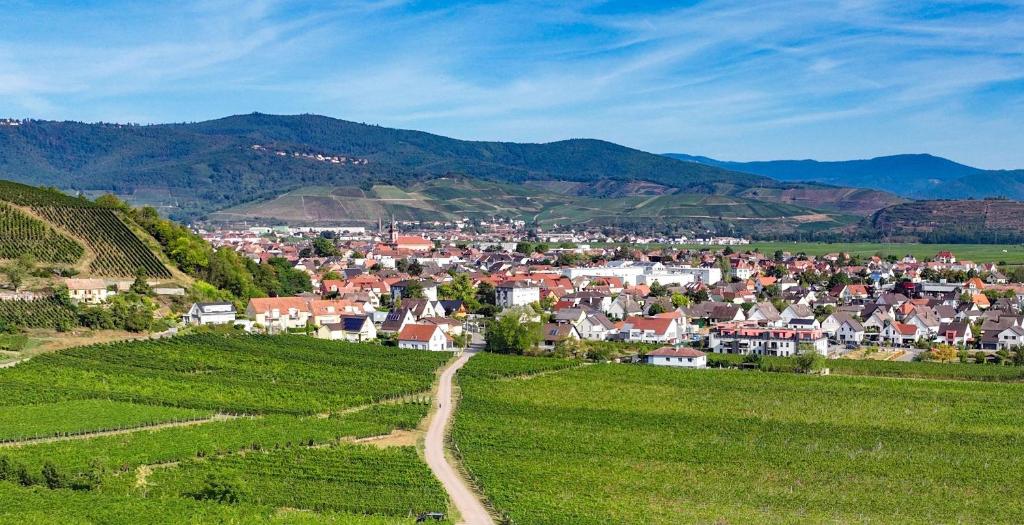Le Cerf – photo 19