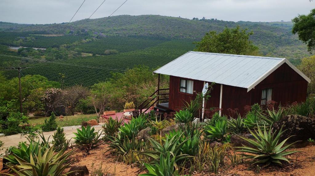 a small red house with a silver tin roof at Hill Top Cabin - Self Catering Accommodation in Hazyview