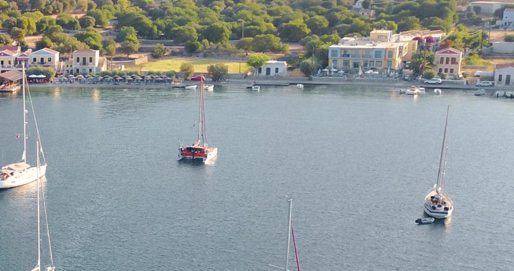 Pedi Beach Hotel - 11