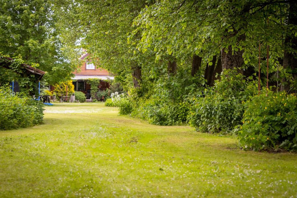 a yard with grass and trees and a house at Siedlisko Urszulanka Dom in Policzna
