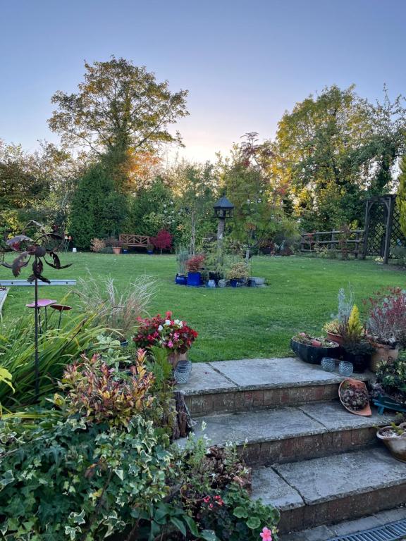 O grădină în afara Sunnyside Cottage