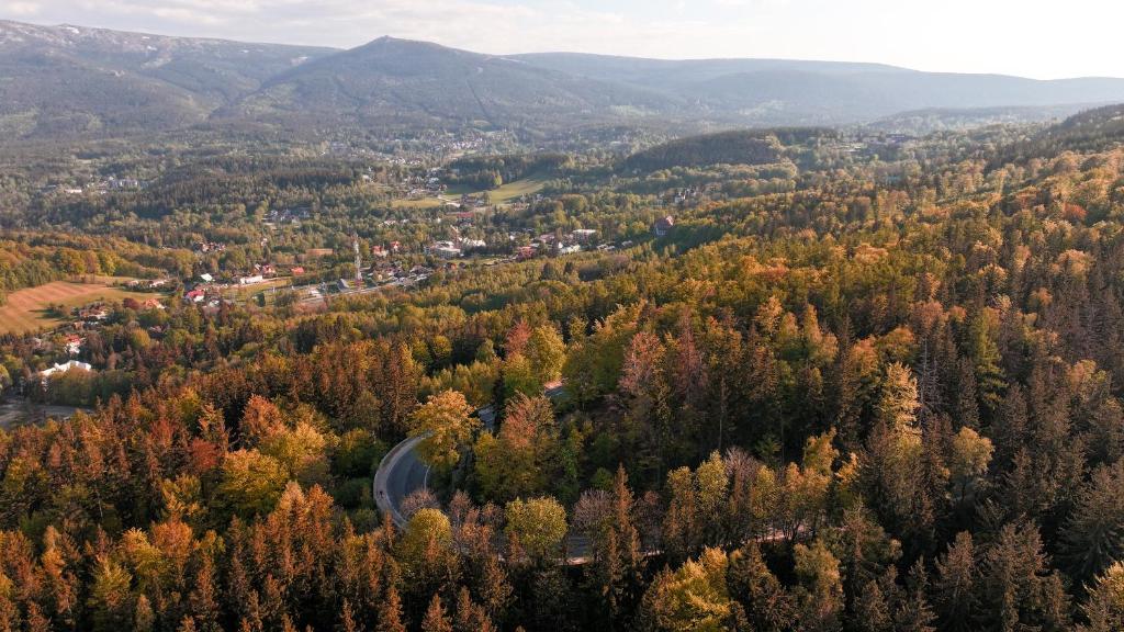 an aerial view of a forest in the mountains at Złoty Horyzont Apartments in Szklarska Poręba
