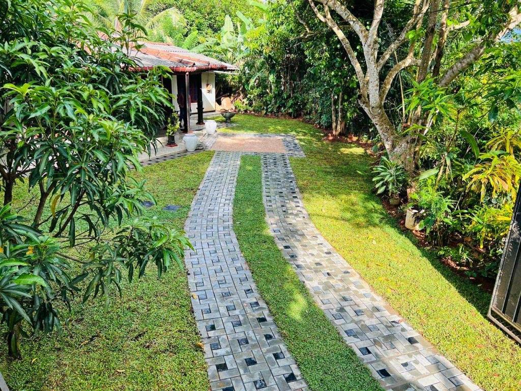 Un jardín fuera de Sith Meadow View Bungalow