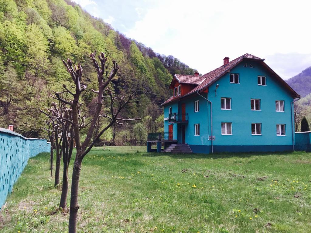 a blue house in a field next to a mountain at Casa Verde in Râu de Mori