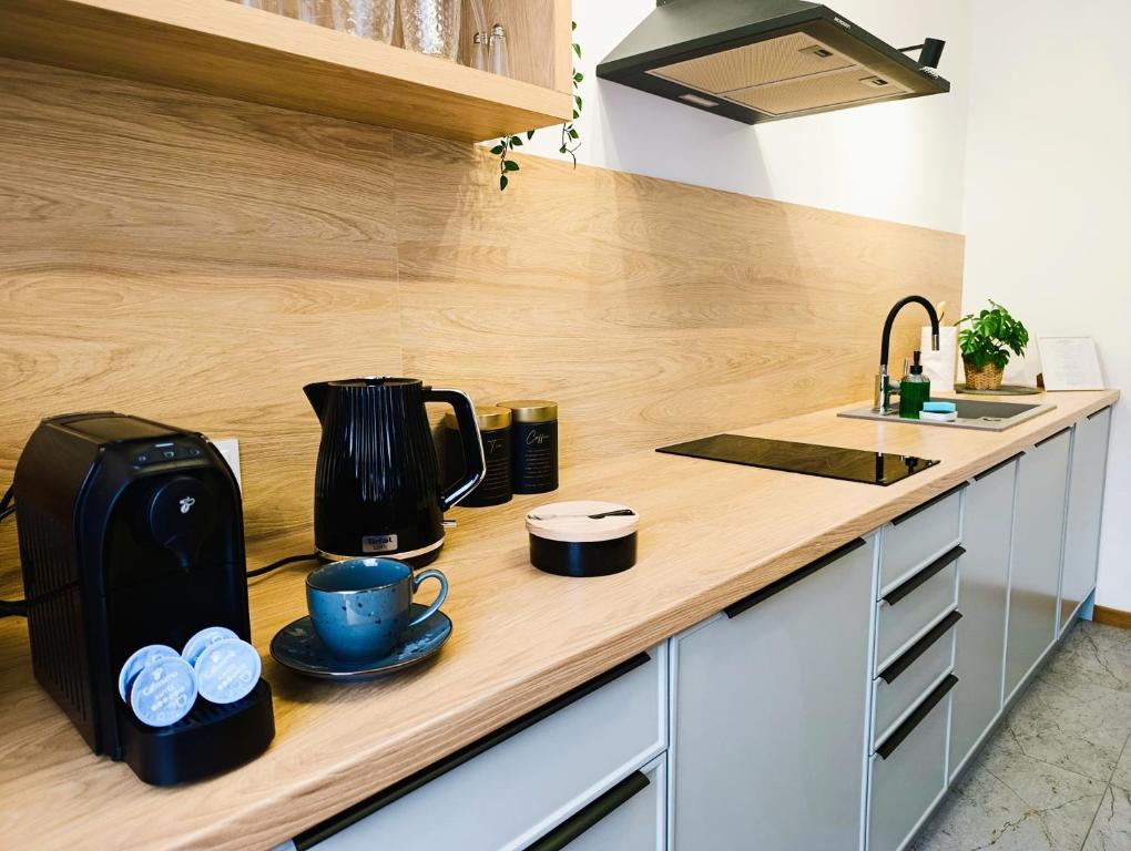 a kitchen counter with a coffee maker and a coffee pot at Kolory Warmii Apartamenty Biały i Szary in Olsztyn