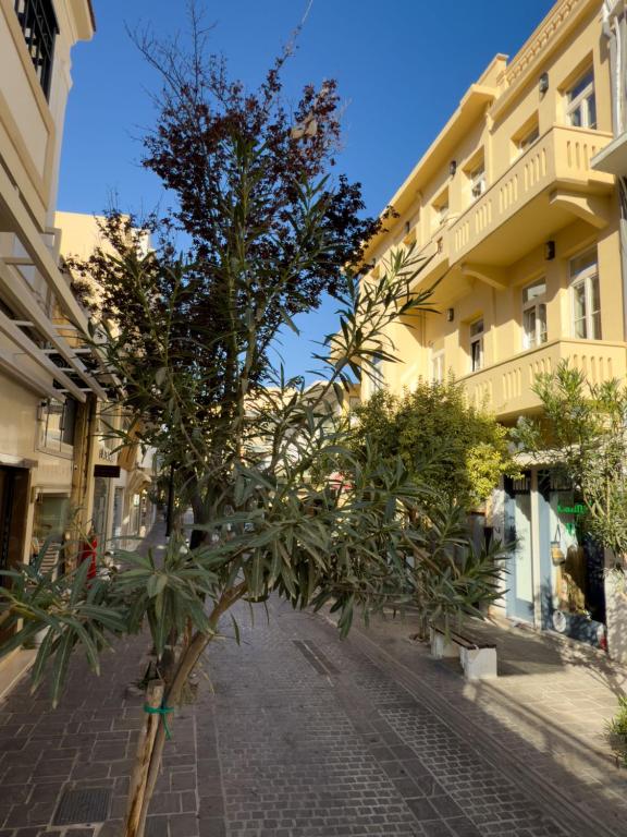 Deluxe Center Suites - Resim 15