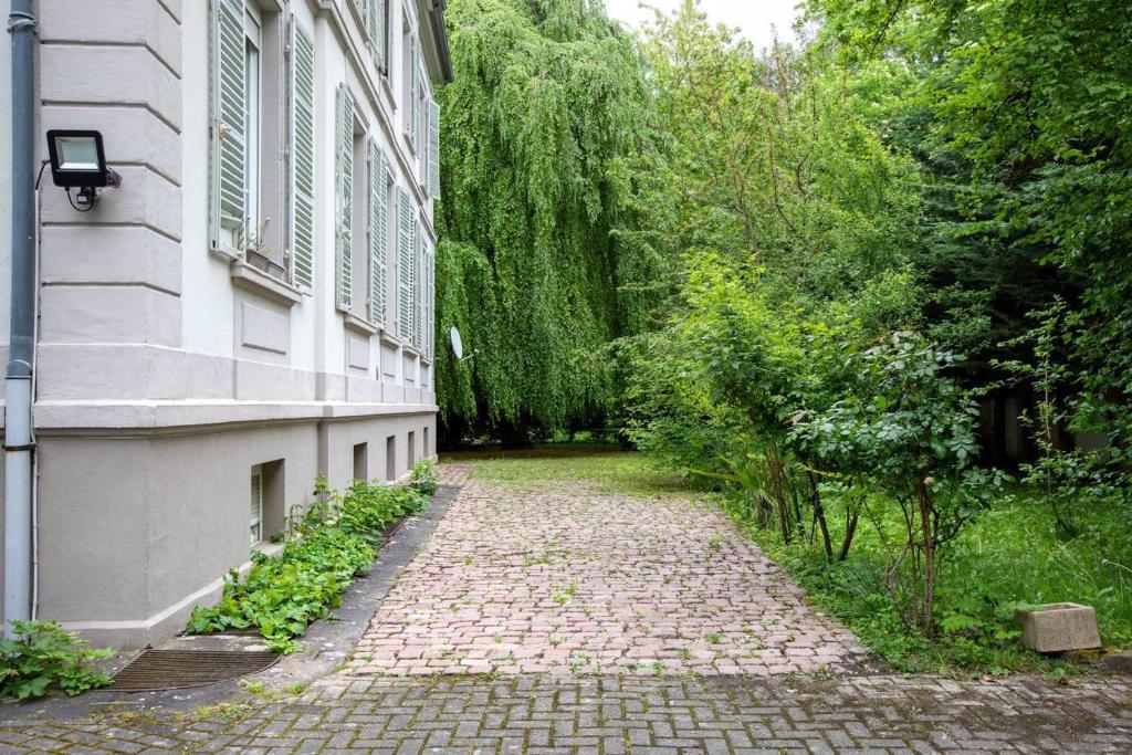 Studio Maison de Maître, Parking sur Place privé Free, MULHOUSE CENTRE – photo 12