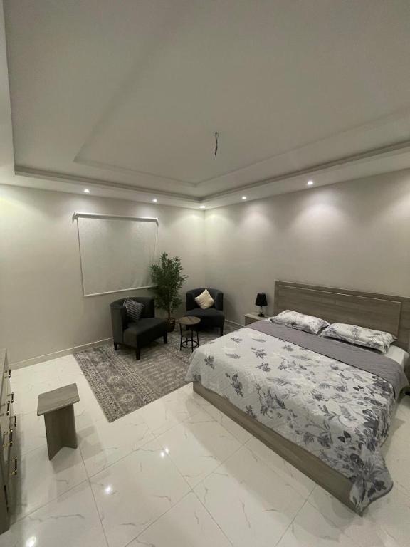 吉达Apartment with bedroom, living room and courtyard C-1的一间卧室，里面有一张床、一张沙发和一把椅子