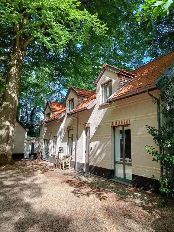 a house with a large tree next to a driveway at De Steeg in Kalmthout