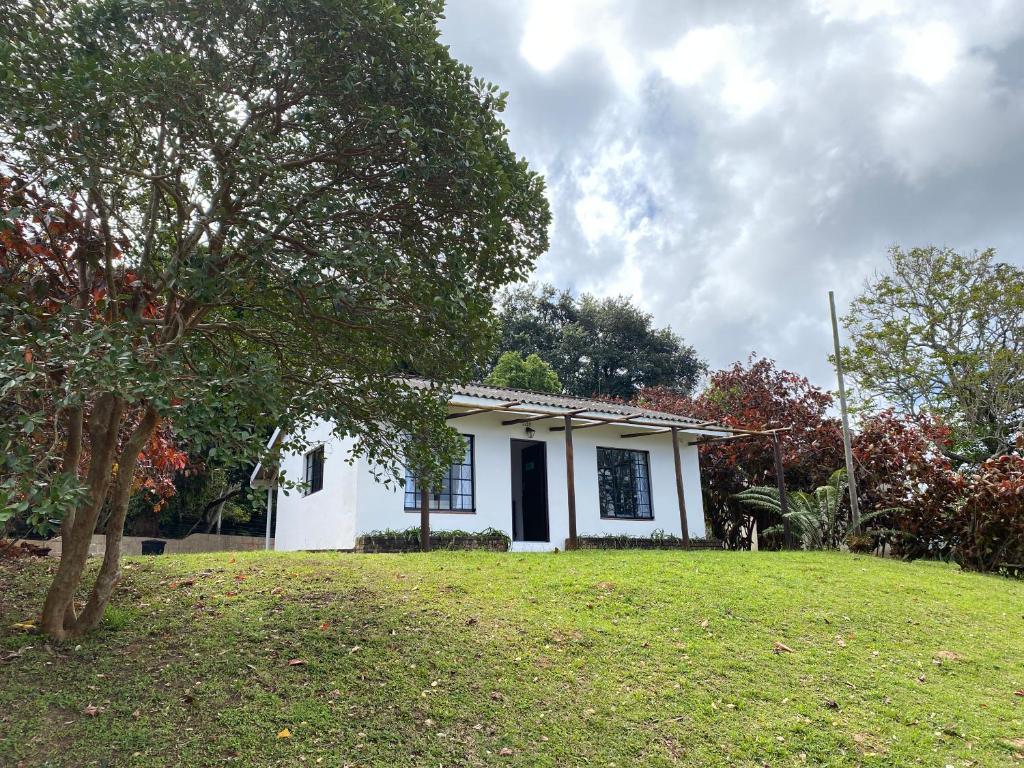 a white house with a tree in the yard at Luxury modern farm cottage with sea view in Southbroom