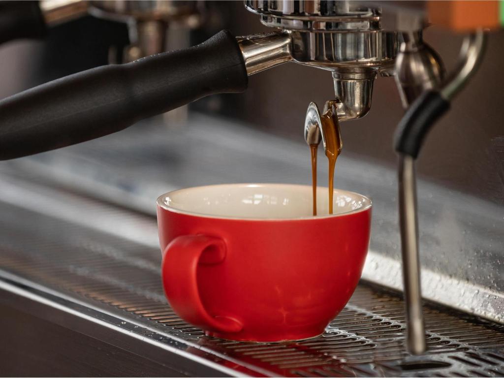 Novotel Christchurch Airport - Resim 32