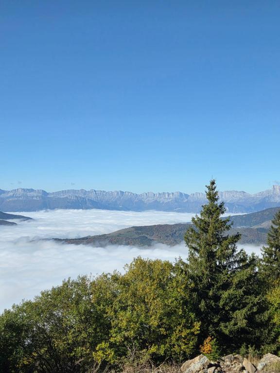 a tree on top of a mountain with clouds at Studio 11 pour 4 personnes in Saint-Honoré