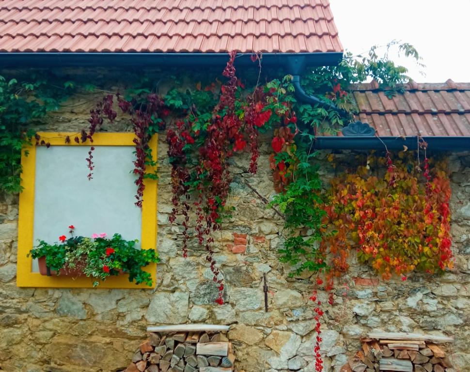 a stone wall with a window with flowers on it at Pension Fanlor in Zubčická Lhotka