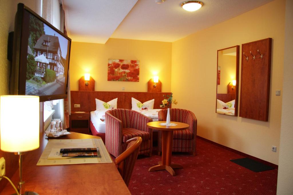 TV a/nebo společenská místnost v ubytování Hotel Zum Bürgergarten